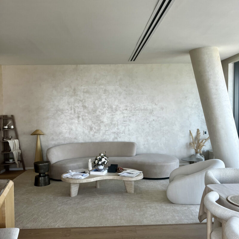 Venetian Plaster Walls